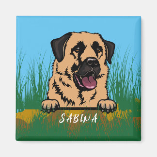 Anatolian Shepherd Dog in Nature  Magnet