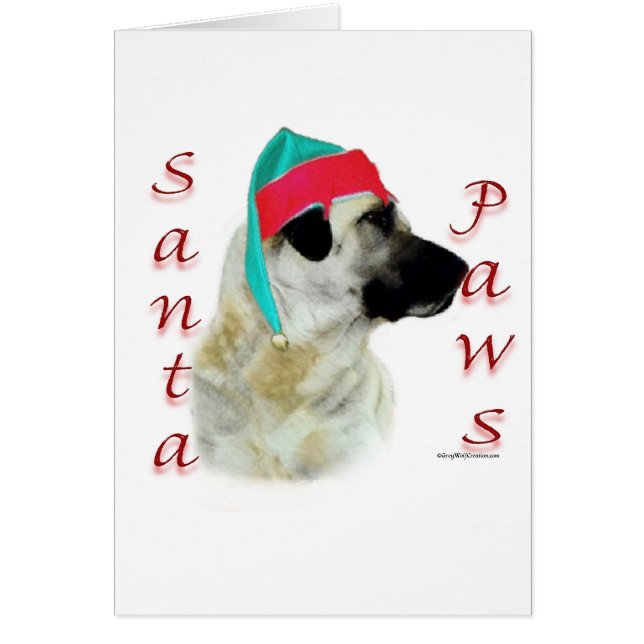 Anatolian Shepherd Dog Santa Paws (Front)