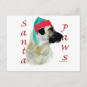 Anatolian Shepherd Dog Santa Paws Holiday Postcard