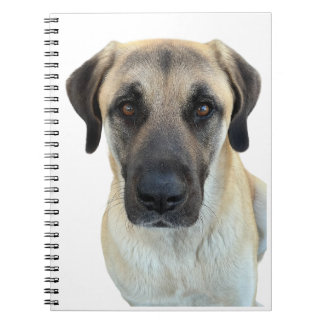 Anatolian Shepherd Dog Spiral Notebook