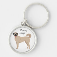 Anatolian Shepherd Kangal dog