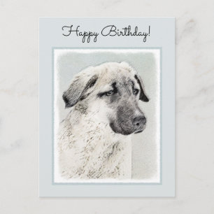Anatolian Shepherd Painting - Original Dog Art Postcard