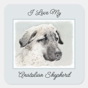 Anatolian Shepherd Painting - Original Dog Art Square Sticker