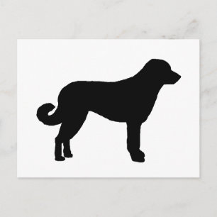 Anatolian Shepherd silo black.png Postcard
