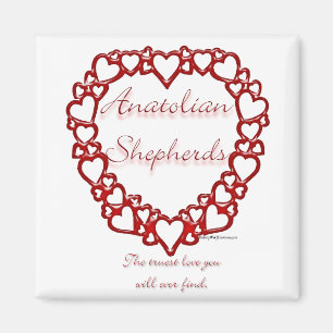 Anatolian Shepherd True Love Magnet