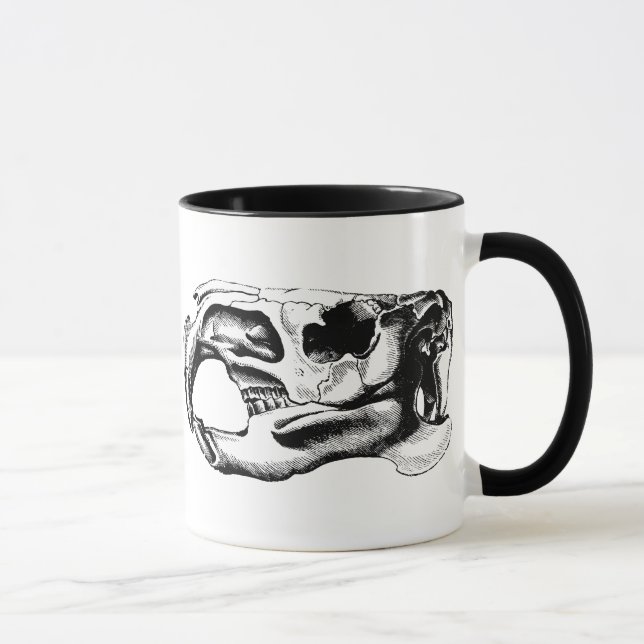 Anatomical Beaver Skull Black & White Mug (Right)