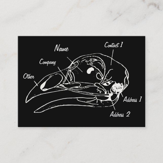 Anatomical Bird Skull Illustration Business Card (Front)