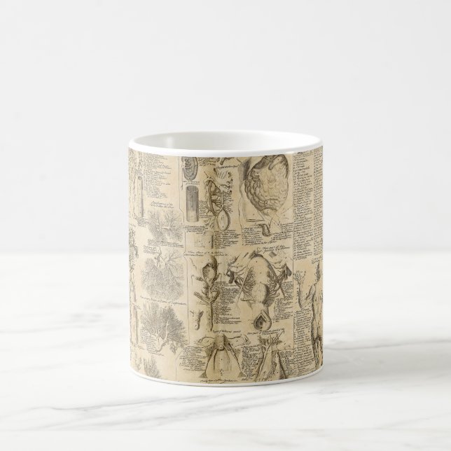 Anatomical Chart from Cyclopaedia 1728 Coffee Mug (Center)