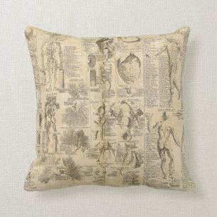 Anatomical Chart from Cyclopaedia 1728 Cushion