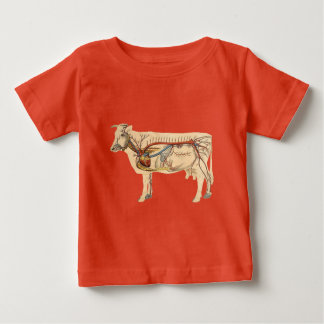 Anatomical Cute Cow Baby T-Shirt
