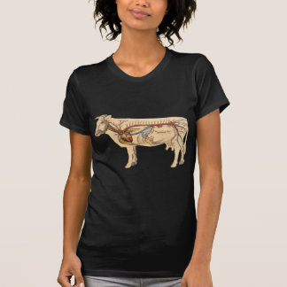 Anatomical Cute Cow T-Shirt