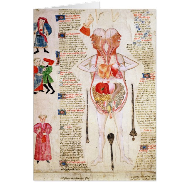 Anatomical diagram (Front)