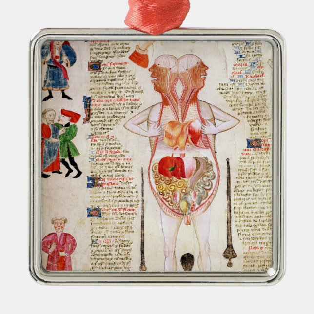 Anatomical diagram metal tree decoration (Front)