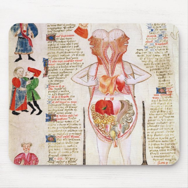 Anatomical diagram mouse mat (Front)