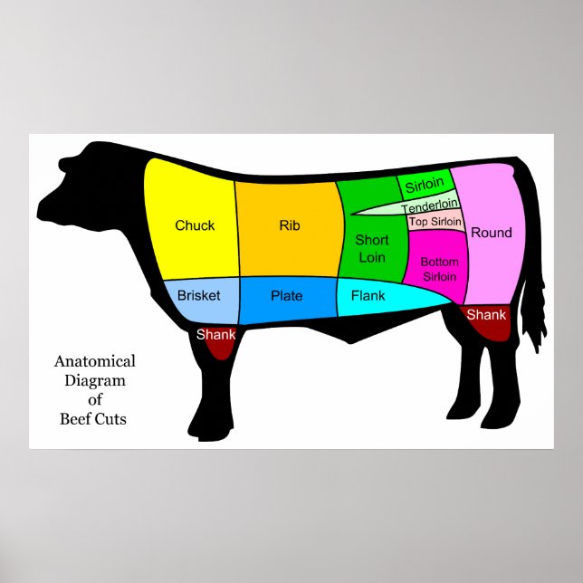 Anatomical Diagram of American Primal Beef Cuts Poster (Front)