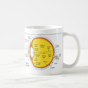 Anatomical Diagram of the Human Eye Ball Coffee Mug