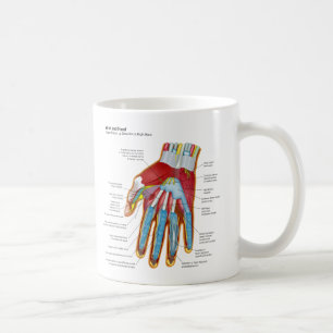 Anatomical Diagram of the Human Hand and Wrist Coffee Mug