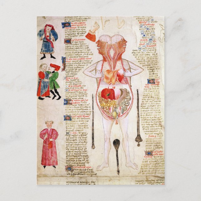 Anatomical diagram postcard (Front)