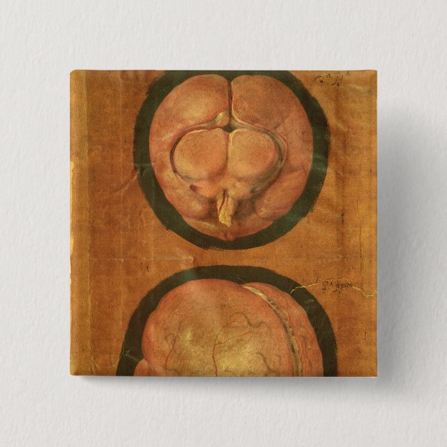 Anatomical drawing of the human brain 15 cm square badge (Front)