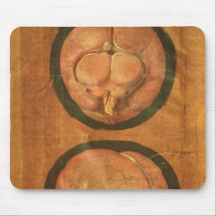 Anatomical drawing of the human brain mouse mat