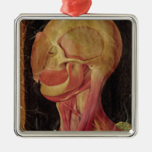 Anatomical drawing of the human head metal tree decoration