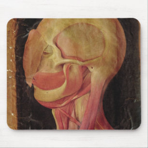Anatomical drawing of the human head mouse mat