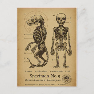 Anatomical Findings: Brown Jenkin Specimen No. 17, Holiday Postcard