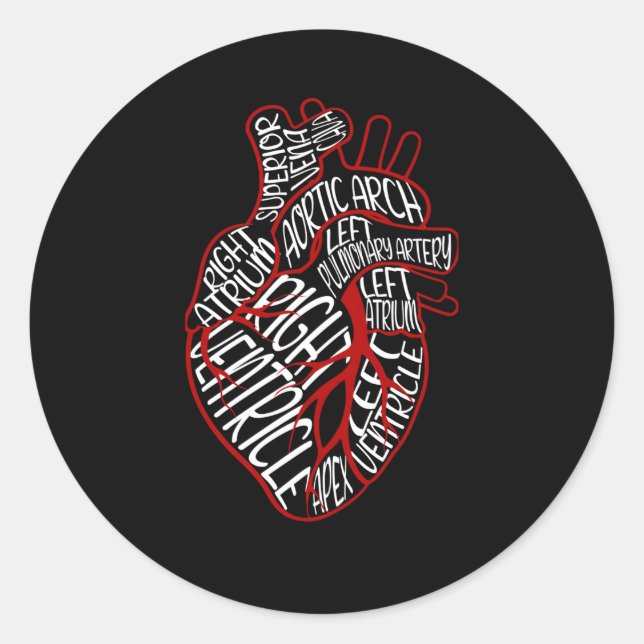 Anatomical He Medical P Of He For Cardiologist Classic Round Sticker (Front)