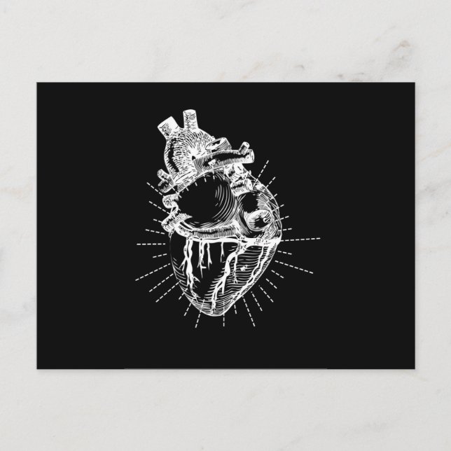 Anatomical Heart Black & White Collection Postcard (Front)
