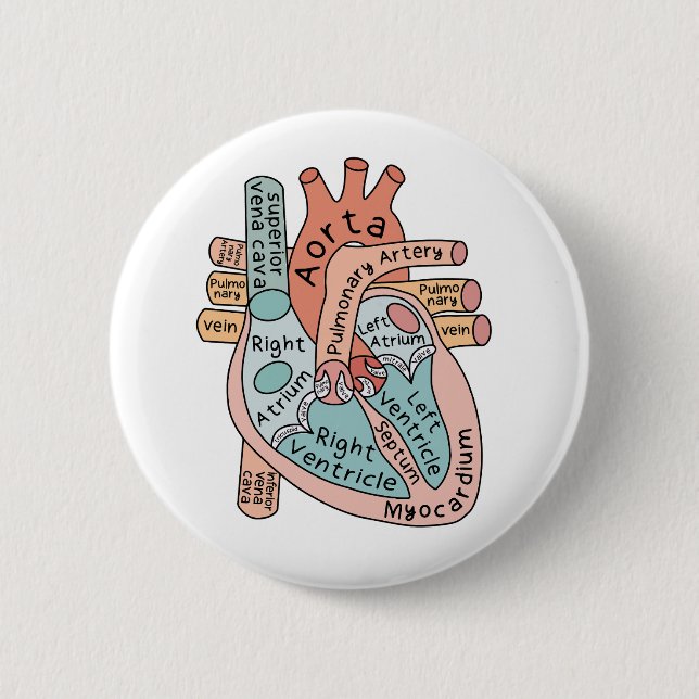 Anatomical Heart, Cardiac ICU Nurse Gift 6 Cm Round Badge (Front)