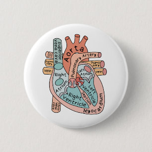 Anatomical Heart, Cardiac ICU Nurse Gift 6 Cm Round Badge
