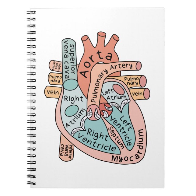 Anatomical Heart Cardiac Nurse Practioner Coffee Notebook (Front)