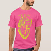 Anatomical Heart Cardiologist Medical School Docto