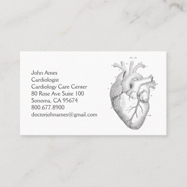 Anatomical Heart Cardiology Medical Doctor Busines Business Card (Front)
