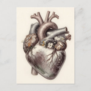 Anatomical Heart Floral Vintage Botanical Medical Postcard