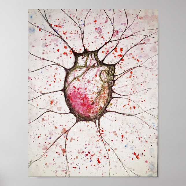 Anatomical Heart Illustration - 8.5x11 Poster (Front)