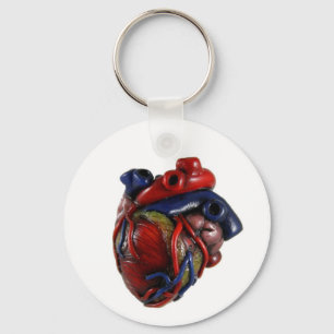 Anatomical Heart Key Ring