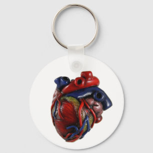 Anatomical Heart Key Ring