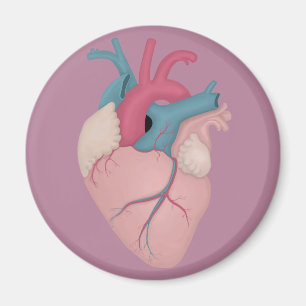 Anatomical Heart Magnet