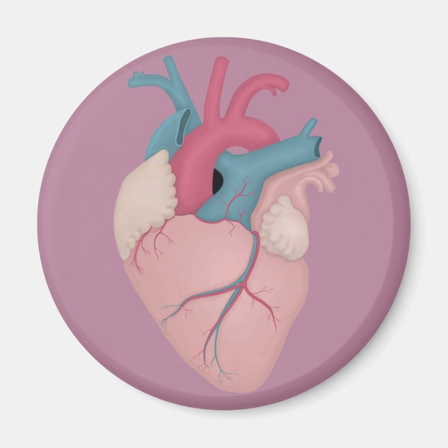 Anatomical Heart Magnet (Front)