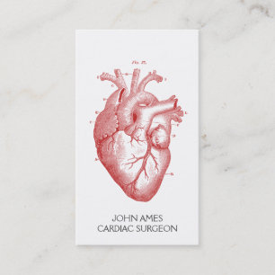 Anatomical Heart Medical Cardiac Surgeon Business Card