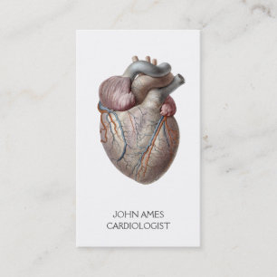 Anatomical Heart Medical Cardiology Business Card