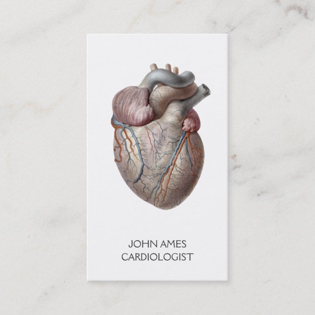 Anatomical Heart Medical Cardiology Business Card (Front)