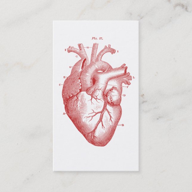 Anatomical Heart Medical Cardiology Business Card (Front)