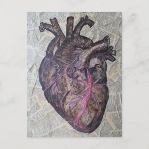 Anatomical heart, original painting postcard
