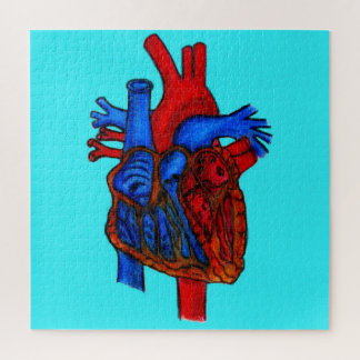 Anatomical Heart Puzzle