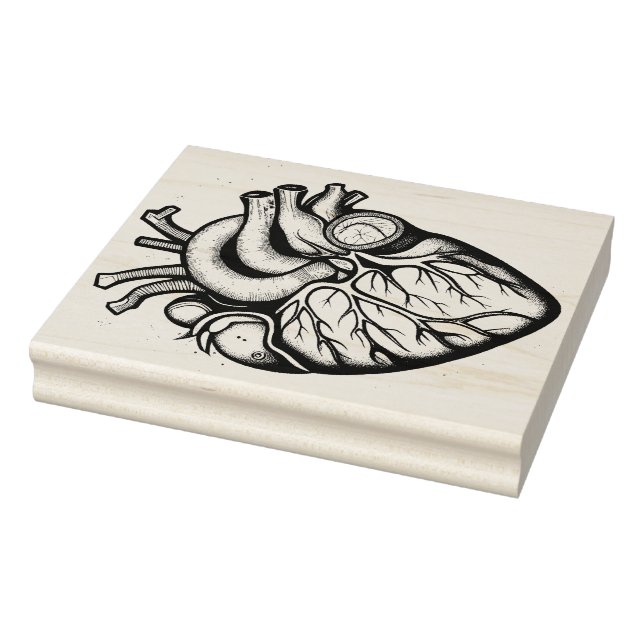 Anatomical Heart Rubber Stamp (Stamp)