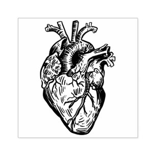Anatomical Heart Rubber Stamp