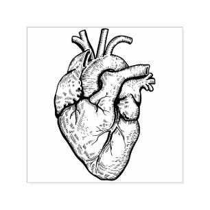 Anatomical Heart Self-inking Stamp
