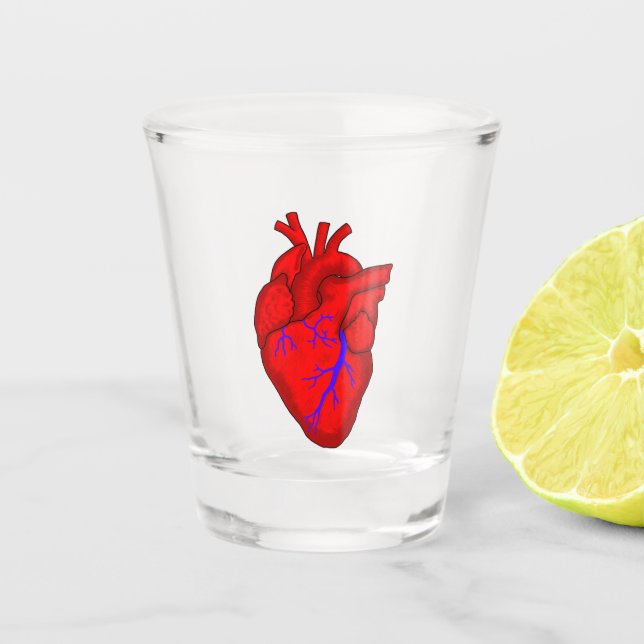 Anatomical Heart Shot Glass (Front)